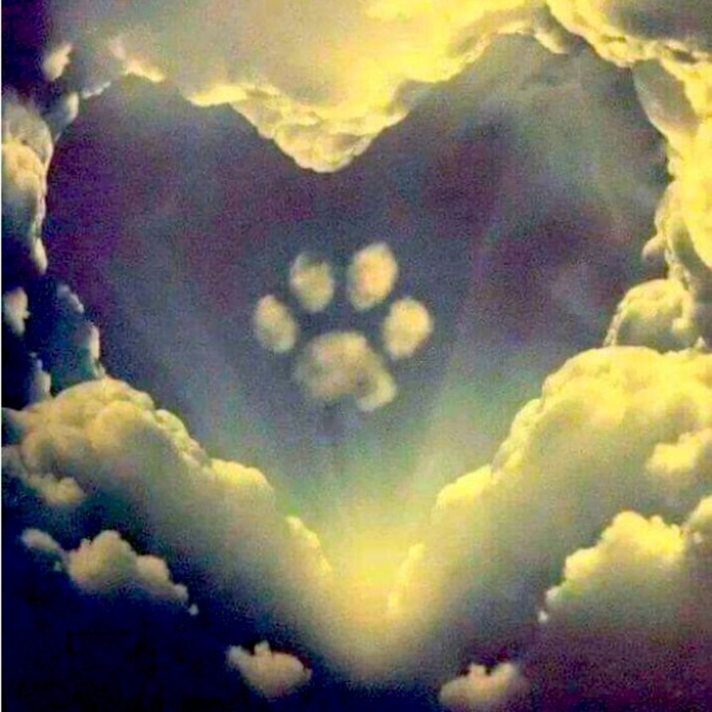 Forever Love